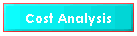 Cost Analysis